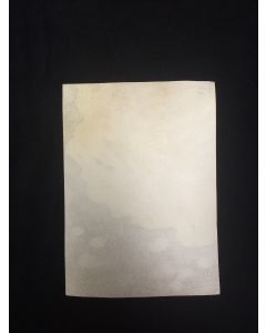 Small calf parchment